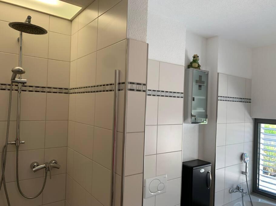 Panorama Apartment Кандерн Екстер'єр фото